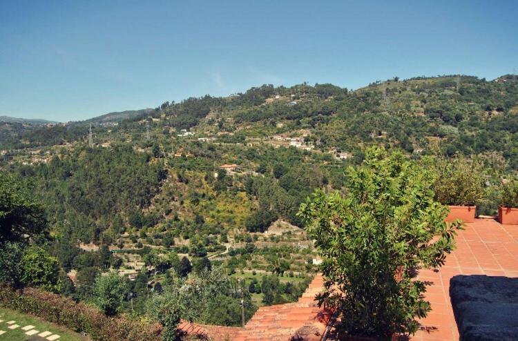 Quinta Do Freixieiro Villa Cinfães Kültér fotó
