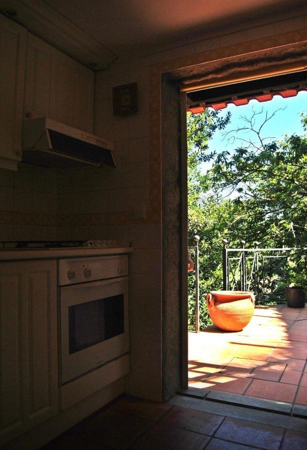 Quinta Do Freixieiro Villa Cinfães Kültér fotó